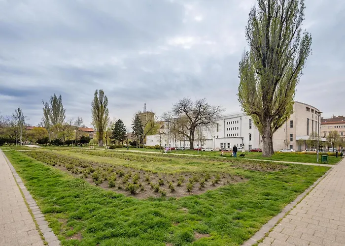 - Comfy - Comfy Sleep *