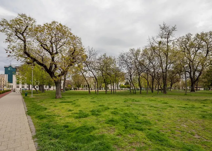 - Comfy - Comfy Sleep *