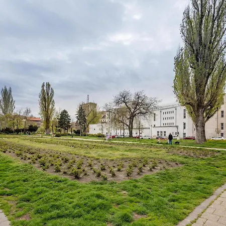 - Comfy - Comfy Sleep *